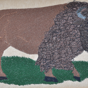 buffalo panel